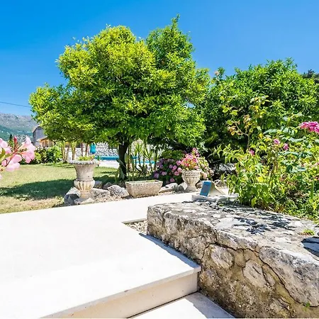 Patricija, Dubrovnik *